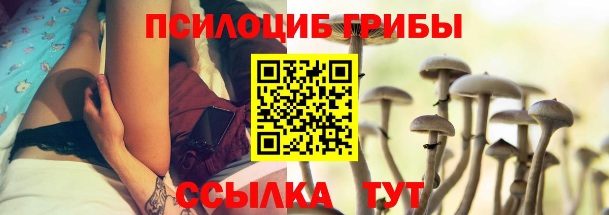 Псилоцибиновые грибы Psilocybe  Псилоцибиновые грибы MAGIC MUSHROOMS  Городец  Вход с VPN 